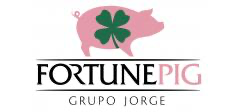 fortune pig